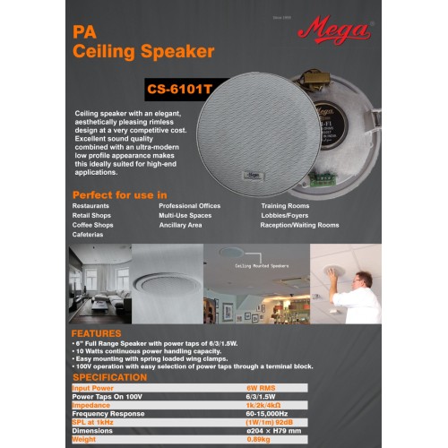 CS 6101T 
